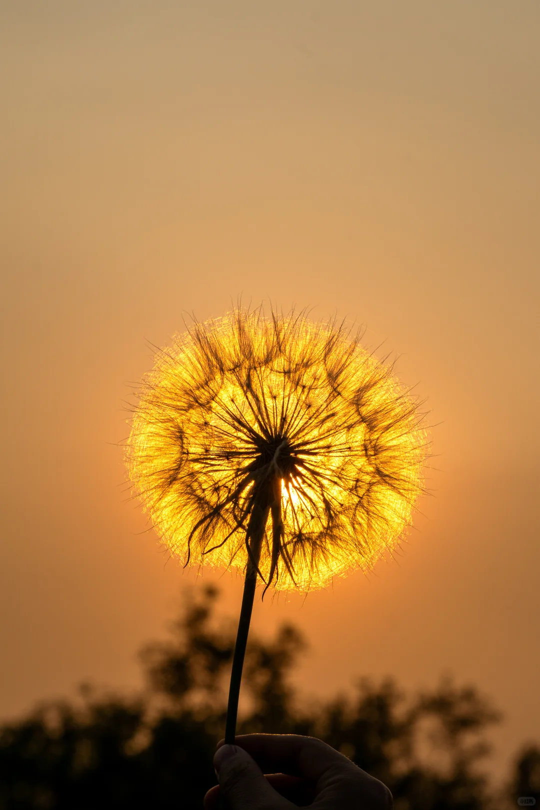 自己拍的 免版权开放使用 有需要自取