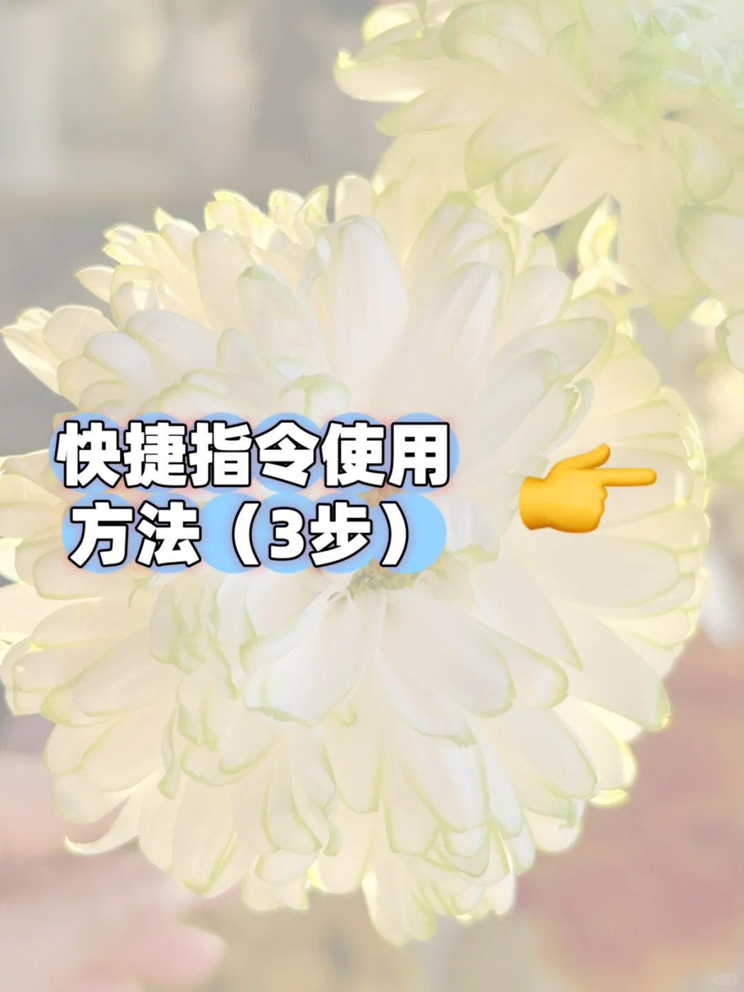 如何保存小红书原图？如何辨别是否原图？