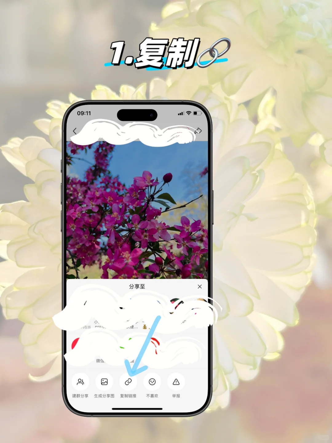 如何保存小红书原图？如何辨别是否原图？