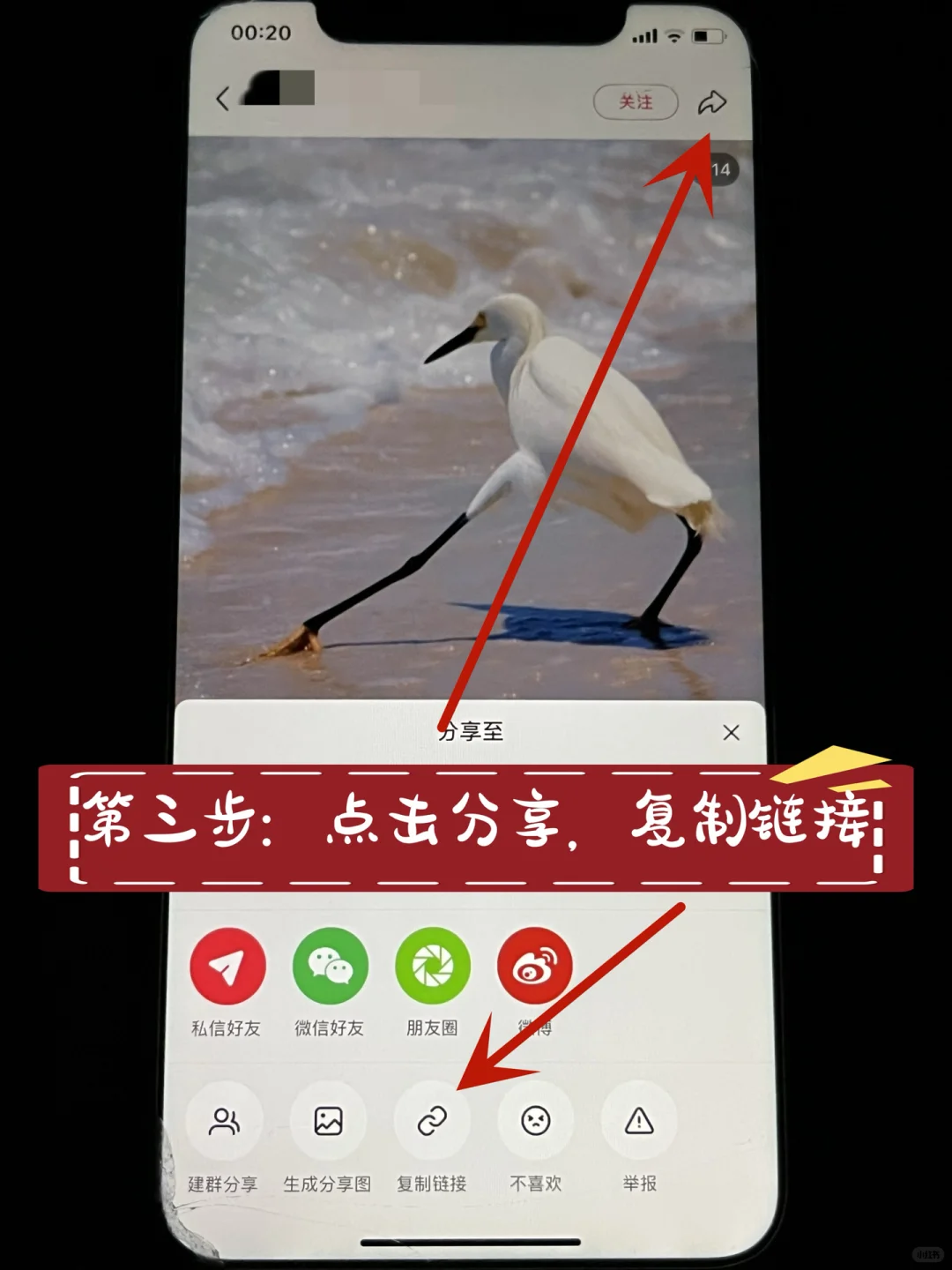 小红书笔记无水印保存方法教程