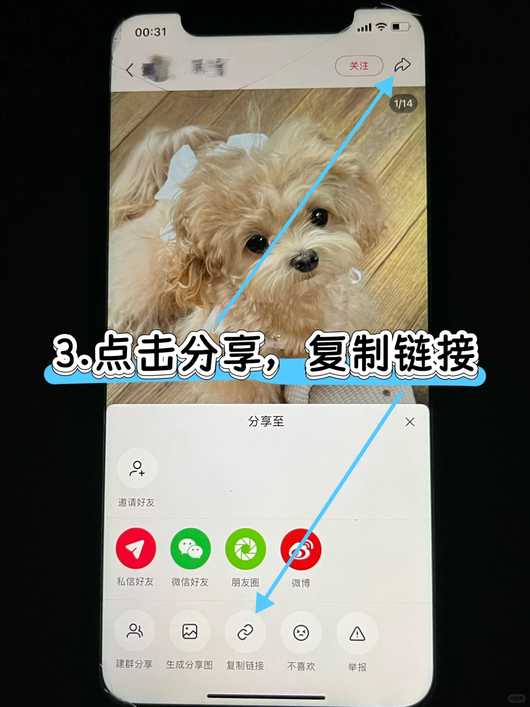 笔记无水印保存原图方法教程