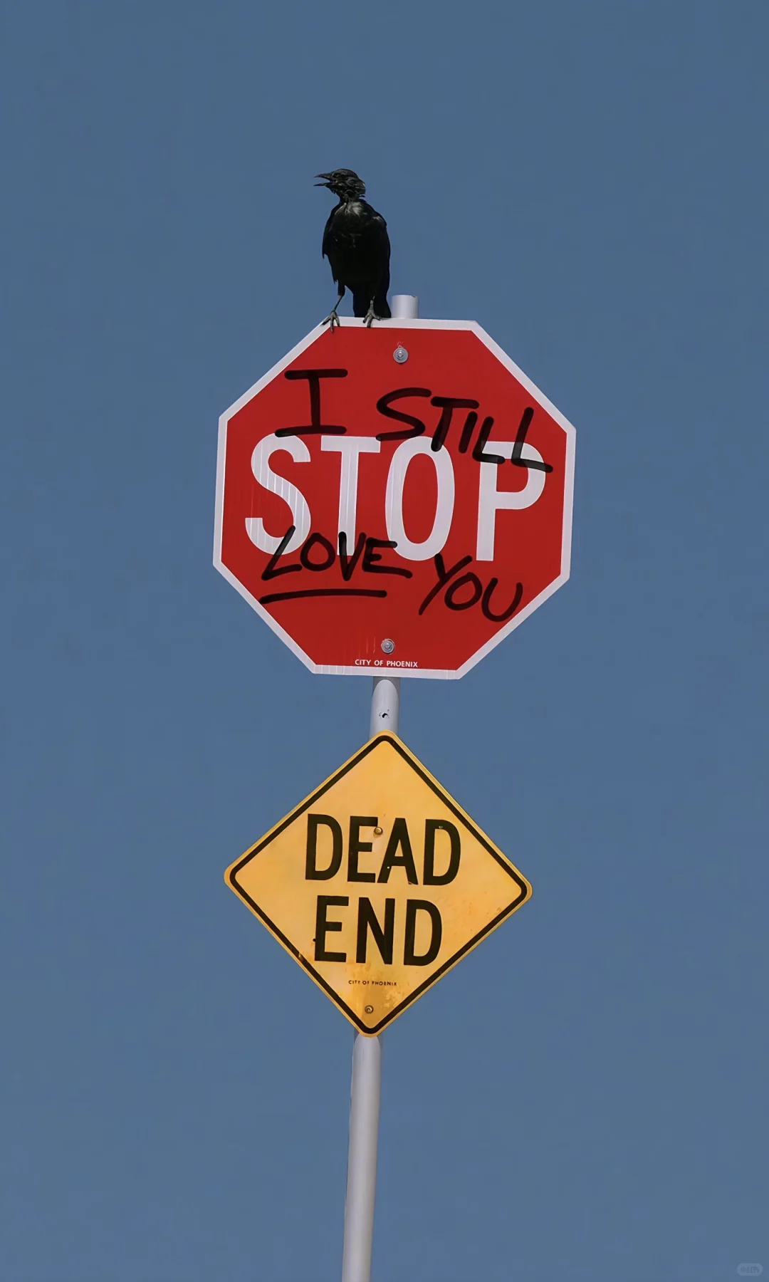 在黑暗处提炼光，于孤绝中唤醒勇