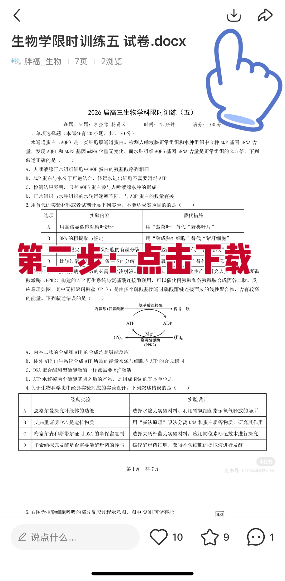小红书如何下载文档