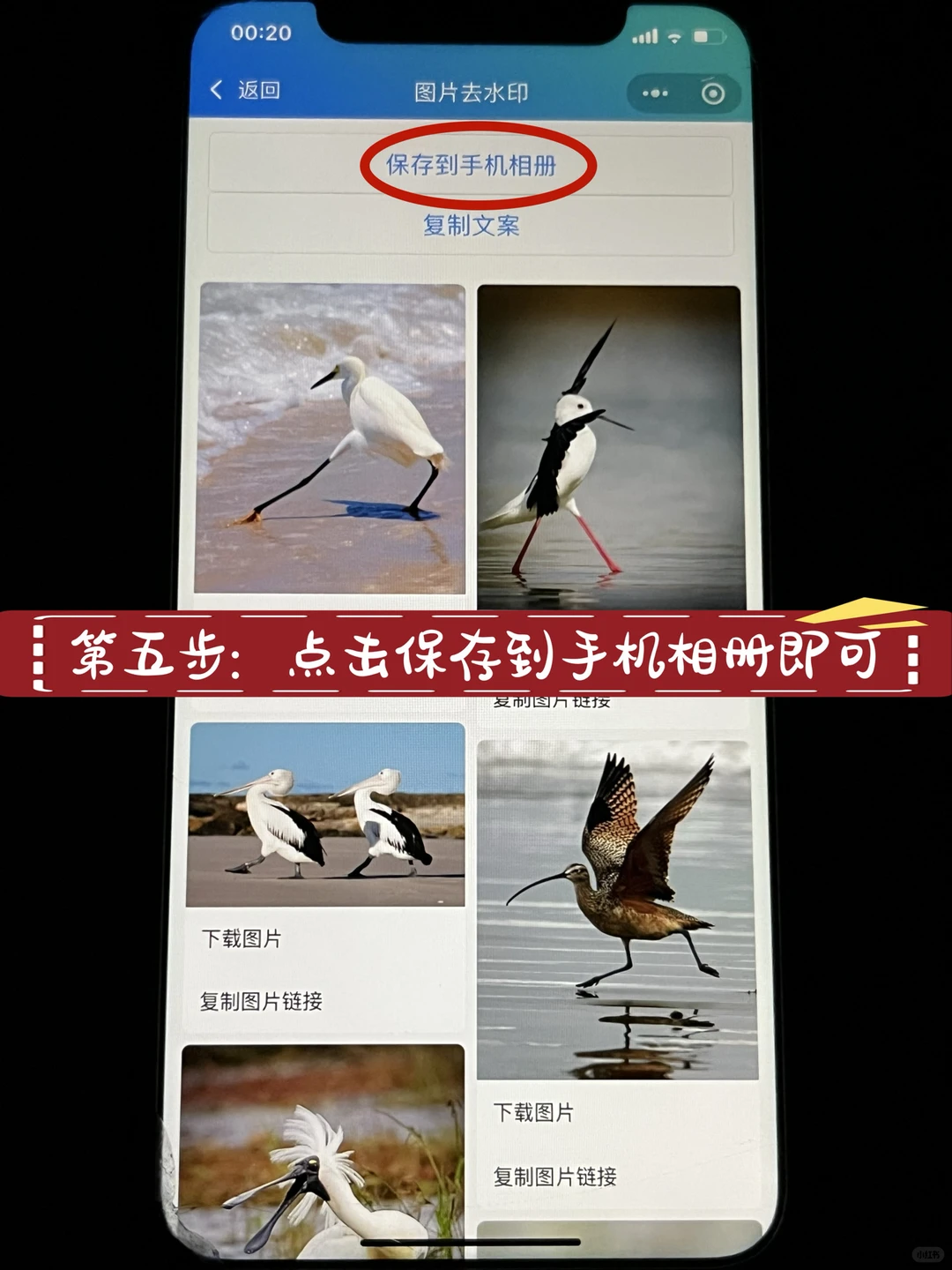 小红书笔记无水印保存方法教程