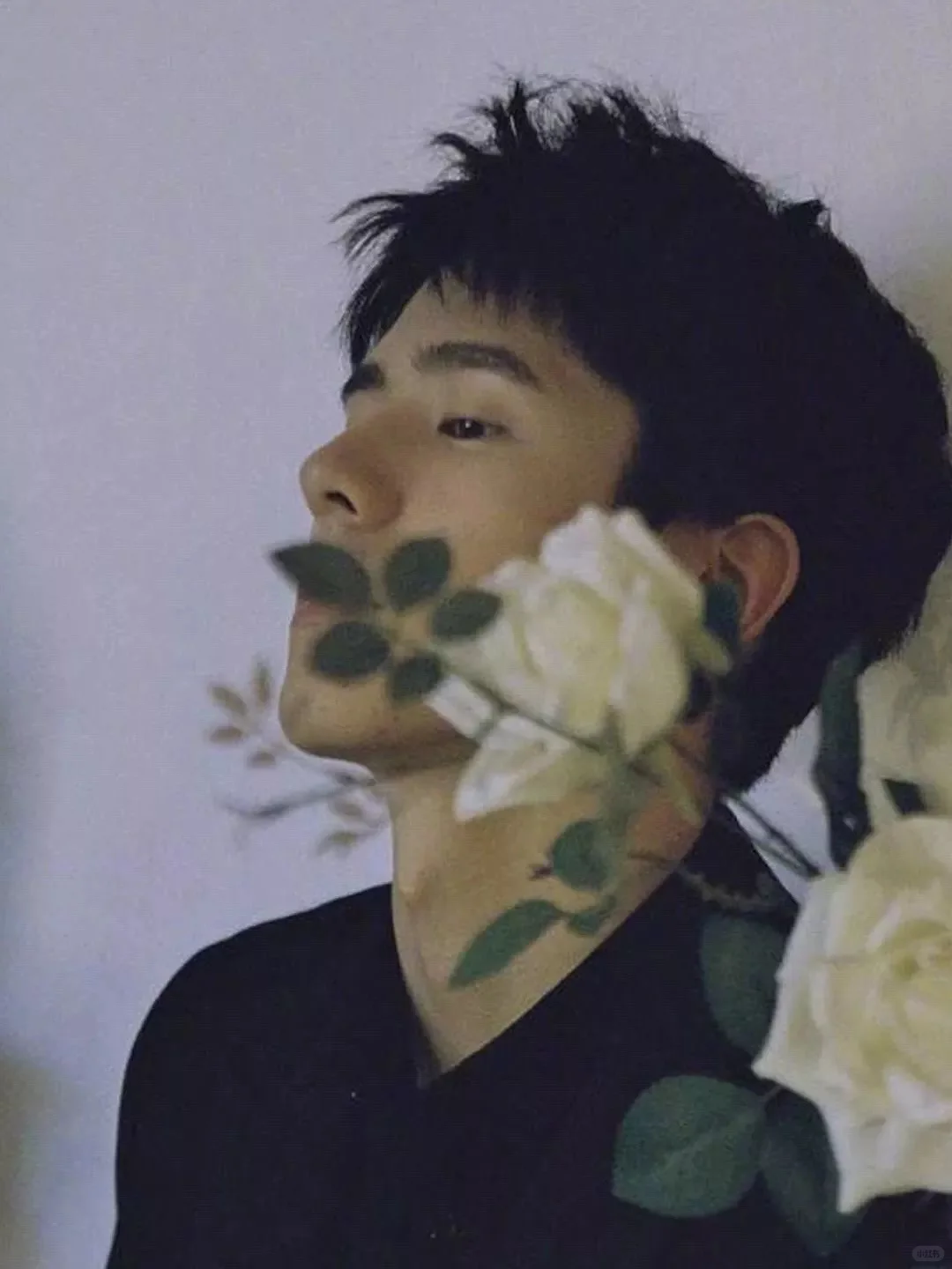 💙拿图方法💙看下方哦