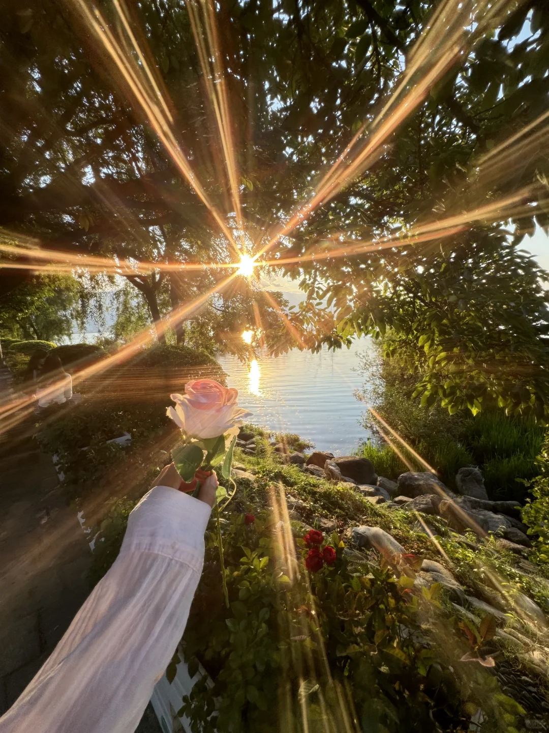 18 张极品 live 图 喜欢可拿