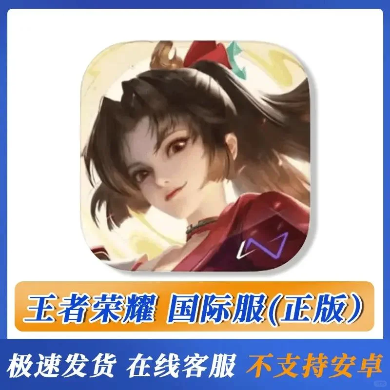 王者 国际服 软件安装相关办公用品耗