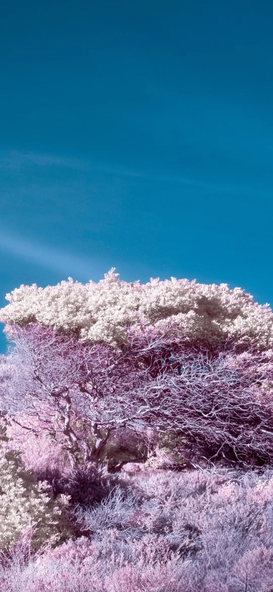 超清壁纸、精选壁纸