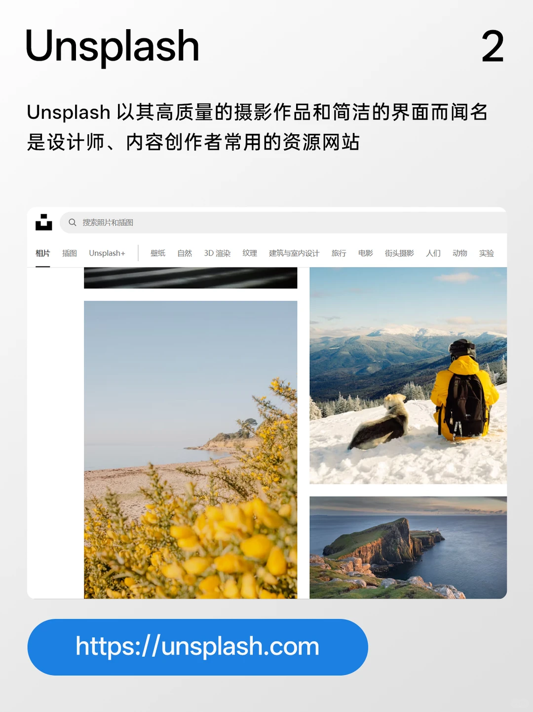 告别版权困扰！八个宝藏无版权图片网站