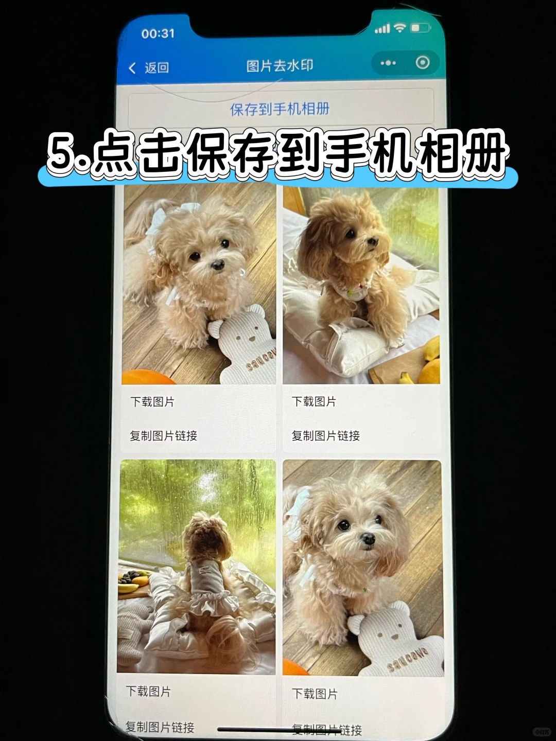 笔记无水印保存原图方法教程