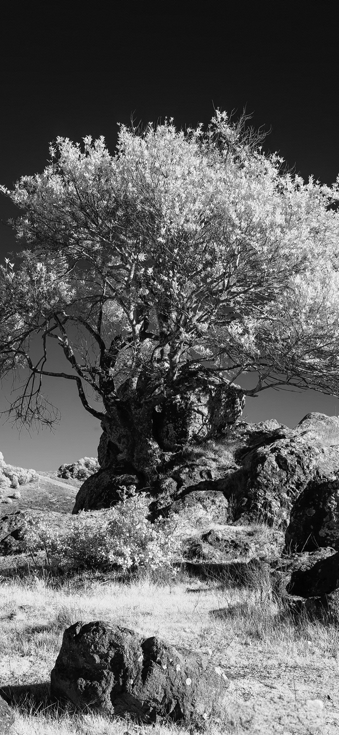 超清壁纸、精选壁纸