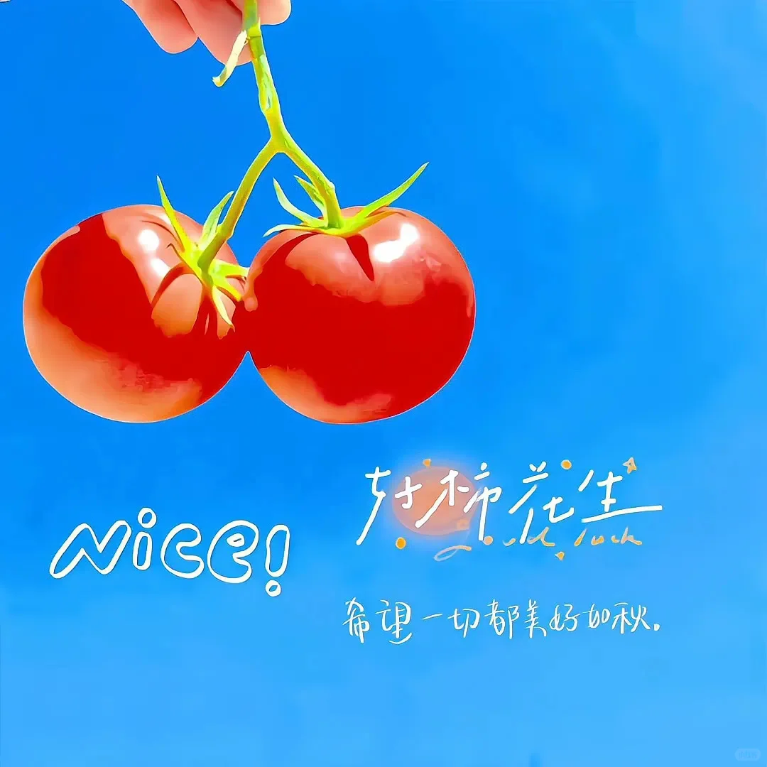 “干净又治愈的风景头像”