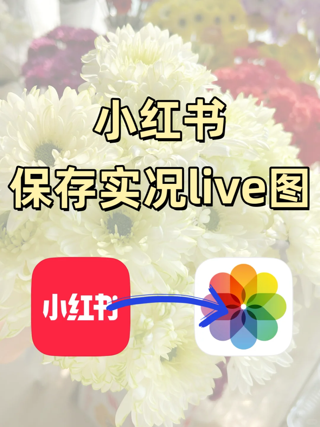 我发现还有很多人都没用上快捷指令保存实况