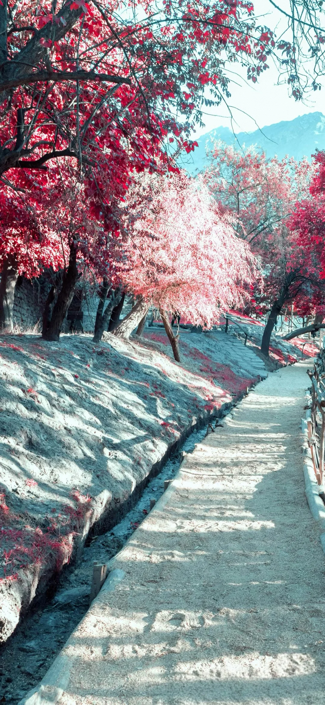 超清壁纸、精选壁纸