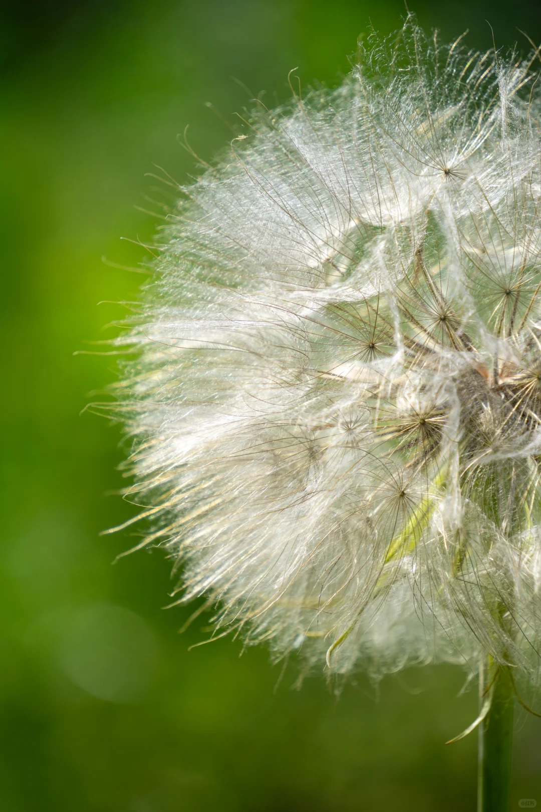 自己拍的 免版权开放使用 有需要自取