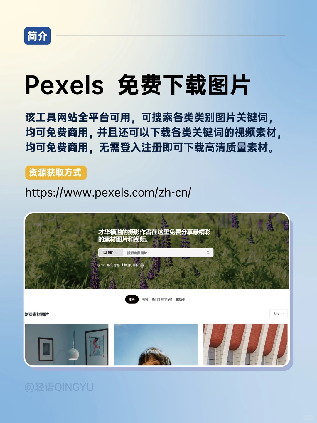 免费下载图片🔥