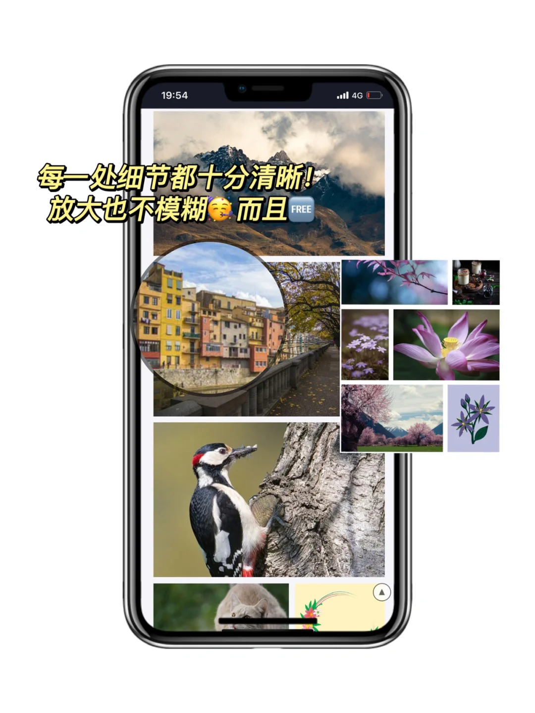 吹爆！2000万素材免费！看到就赚到的宝藏✨