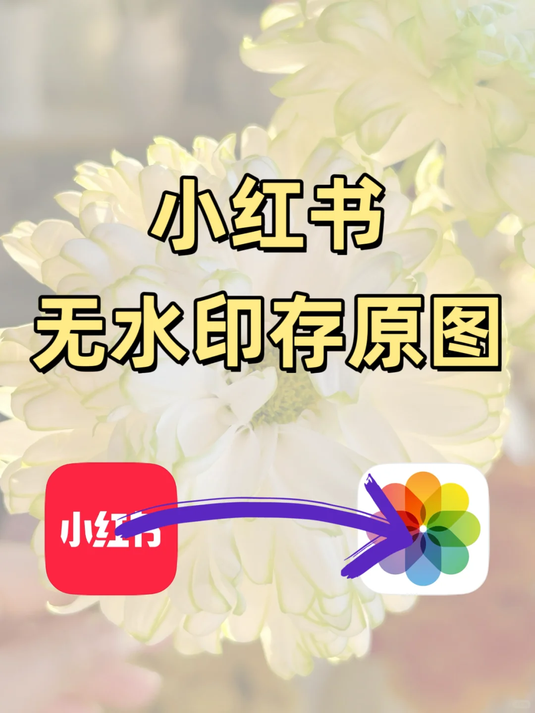 如何保存小红书原图？如何辨别是否原图？