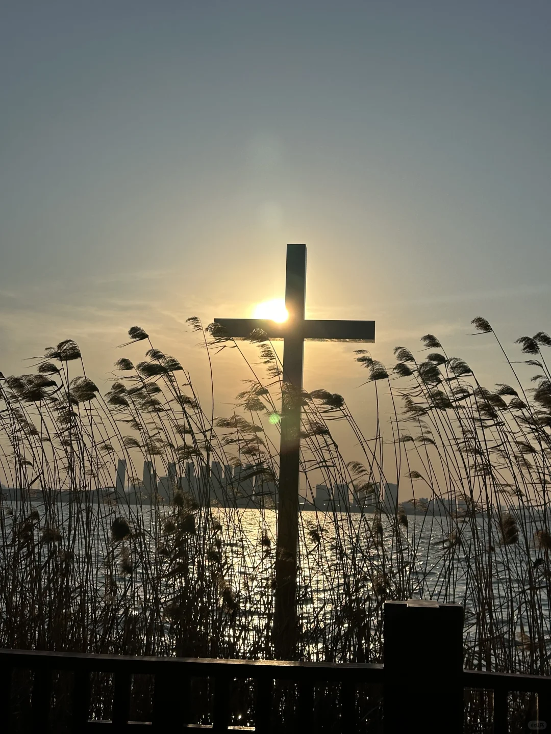 右滑88张原创live图 喜欢拿