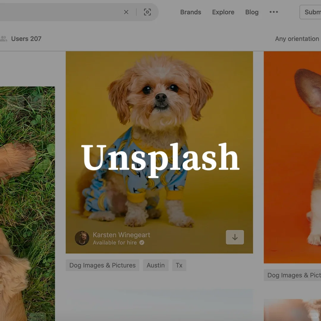 超百万张高清图片随心用^_^,无版权、免费