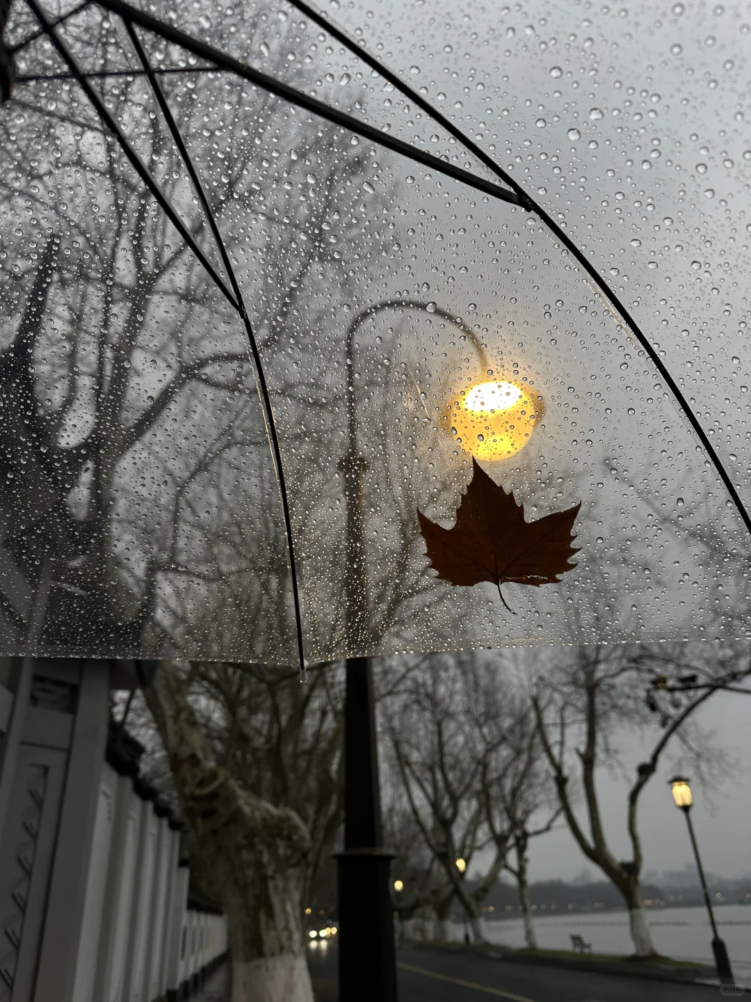 18张高清原声live实况素材 喜欢可拿