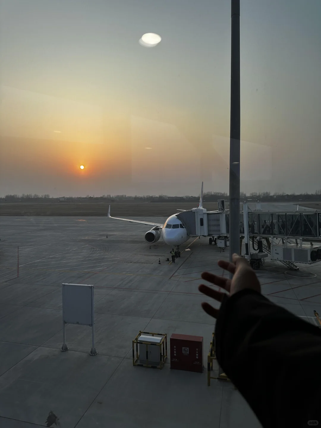 8张爆款live 图 | 高清未使用 喜欢拿