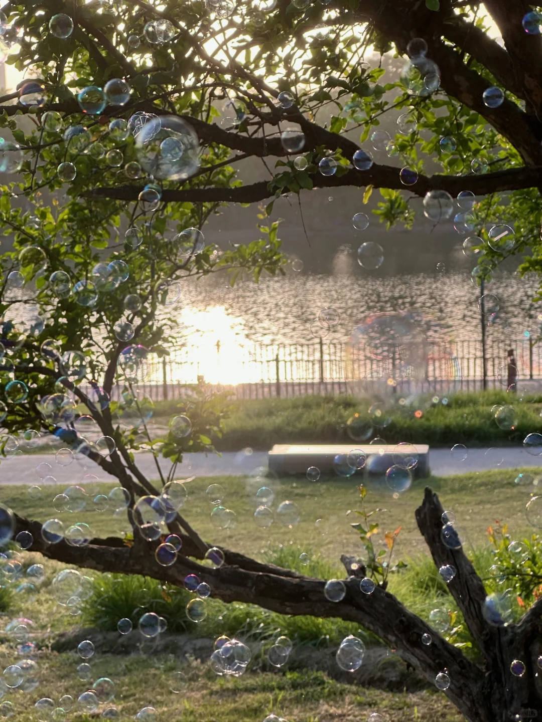 18张高清原声live实况素材 喜欢可拿