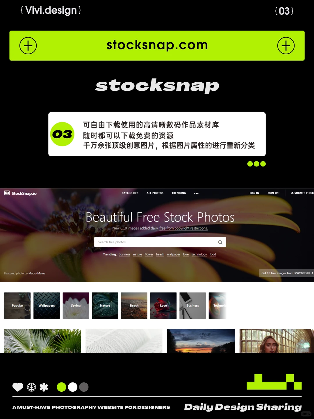 摄影网站 📁 | 设计必备