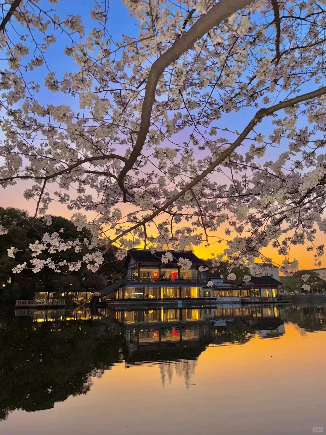 13张爆款Live图 ｜ 高清未使用