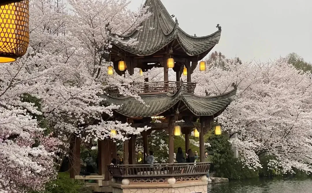 13张爆款Live图 ｜ 高清未使用