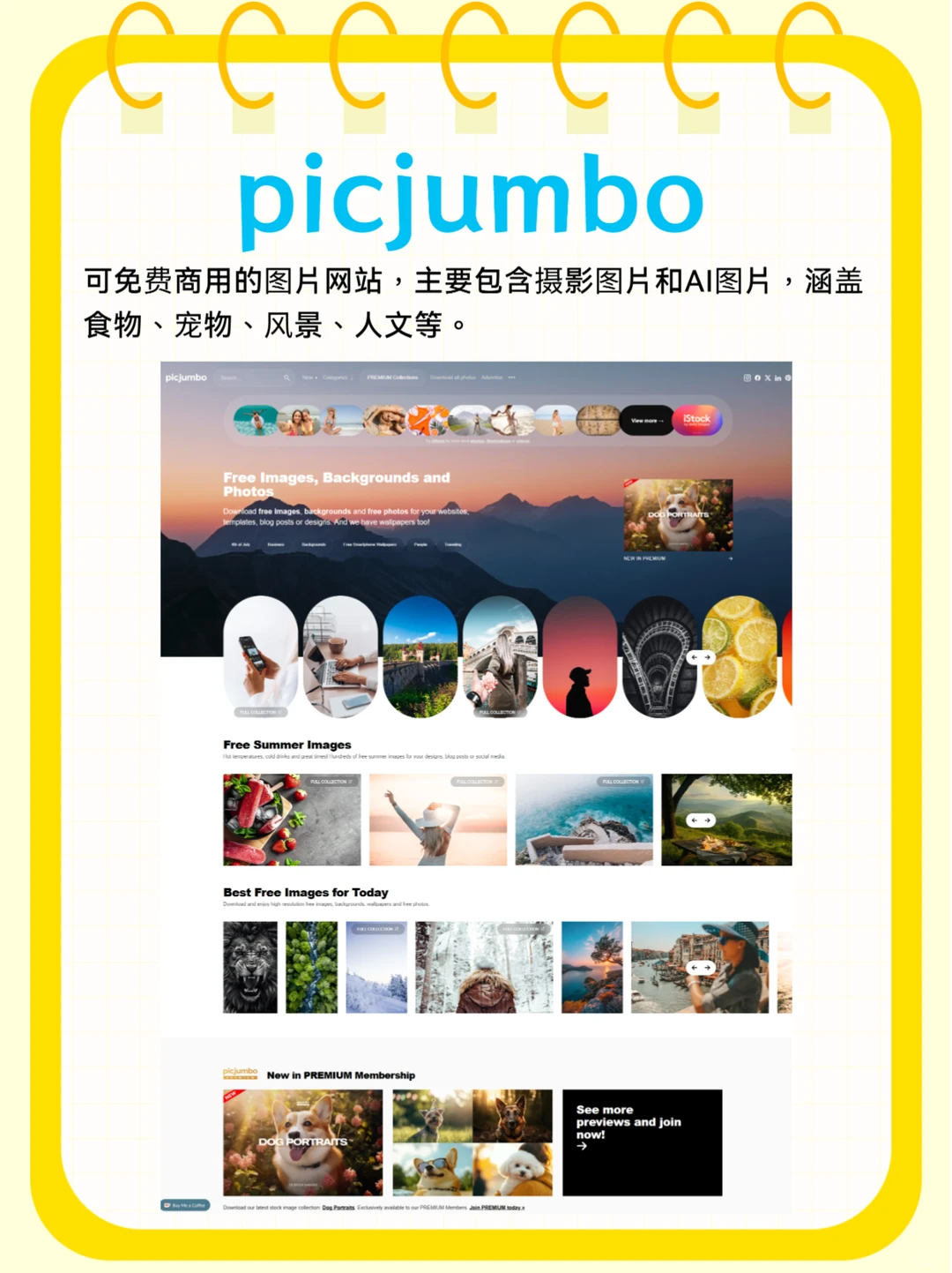 免费可商用图片资源网站第二弹❗设计必备~