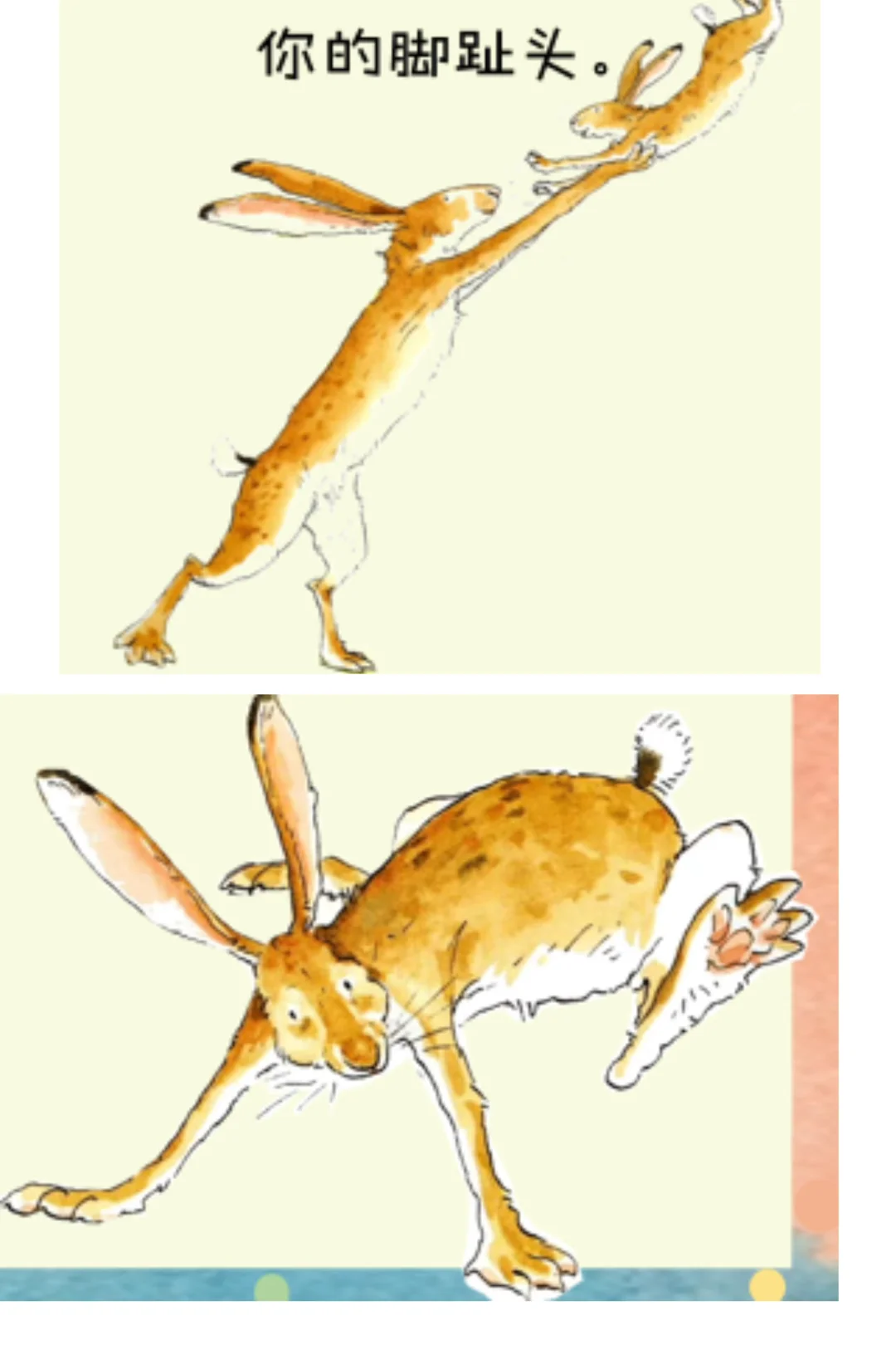 《猜猜我有多爱你》绘本扩展