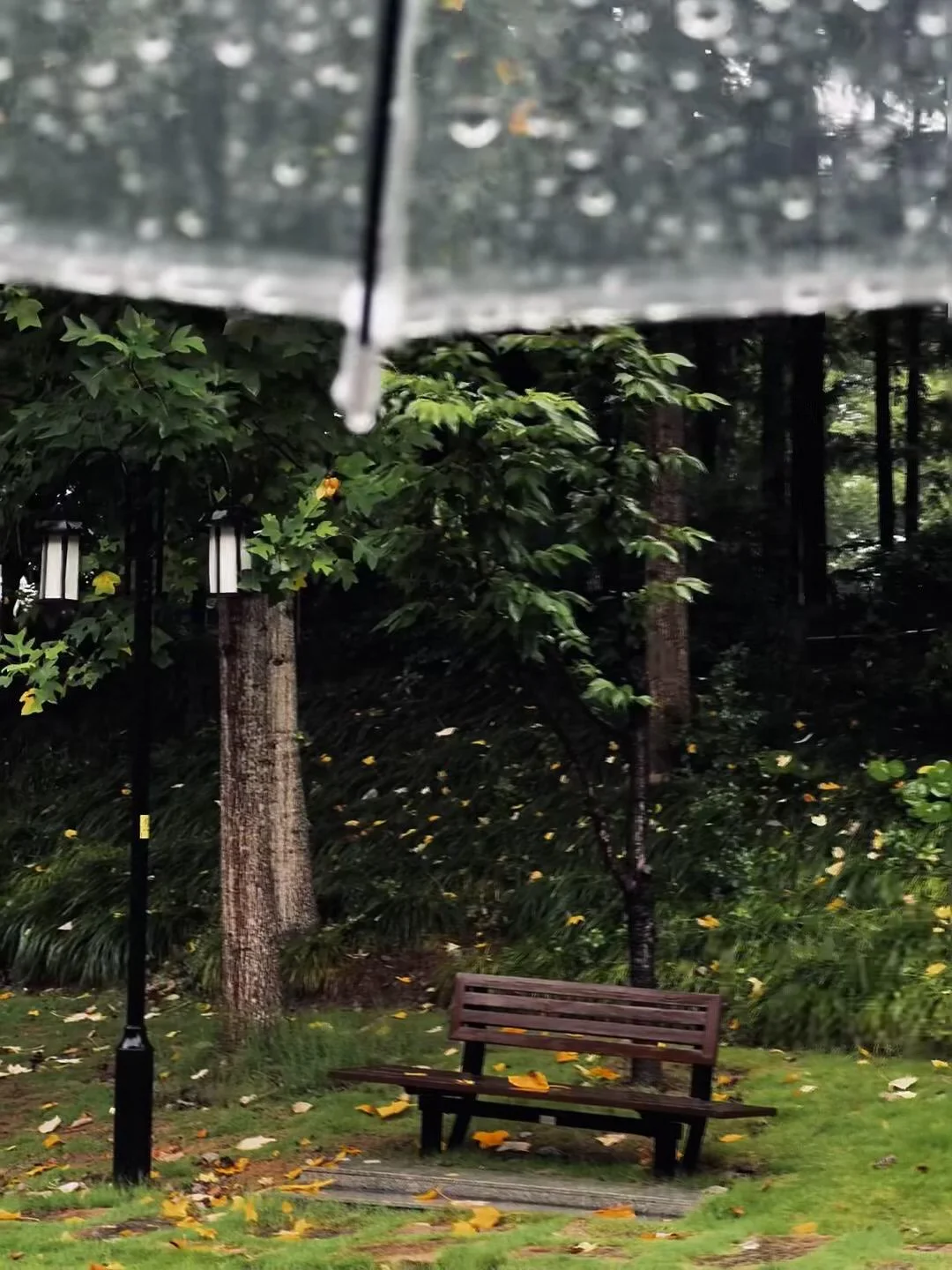 18张爆款城市live｜高清未使用｜喜欢拿