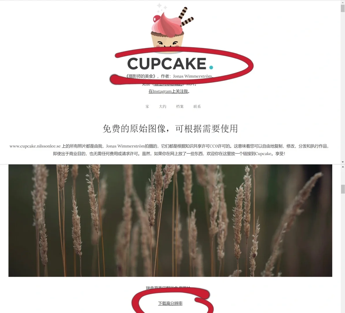 yyds找图片必备网站