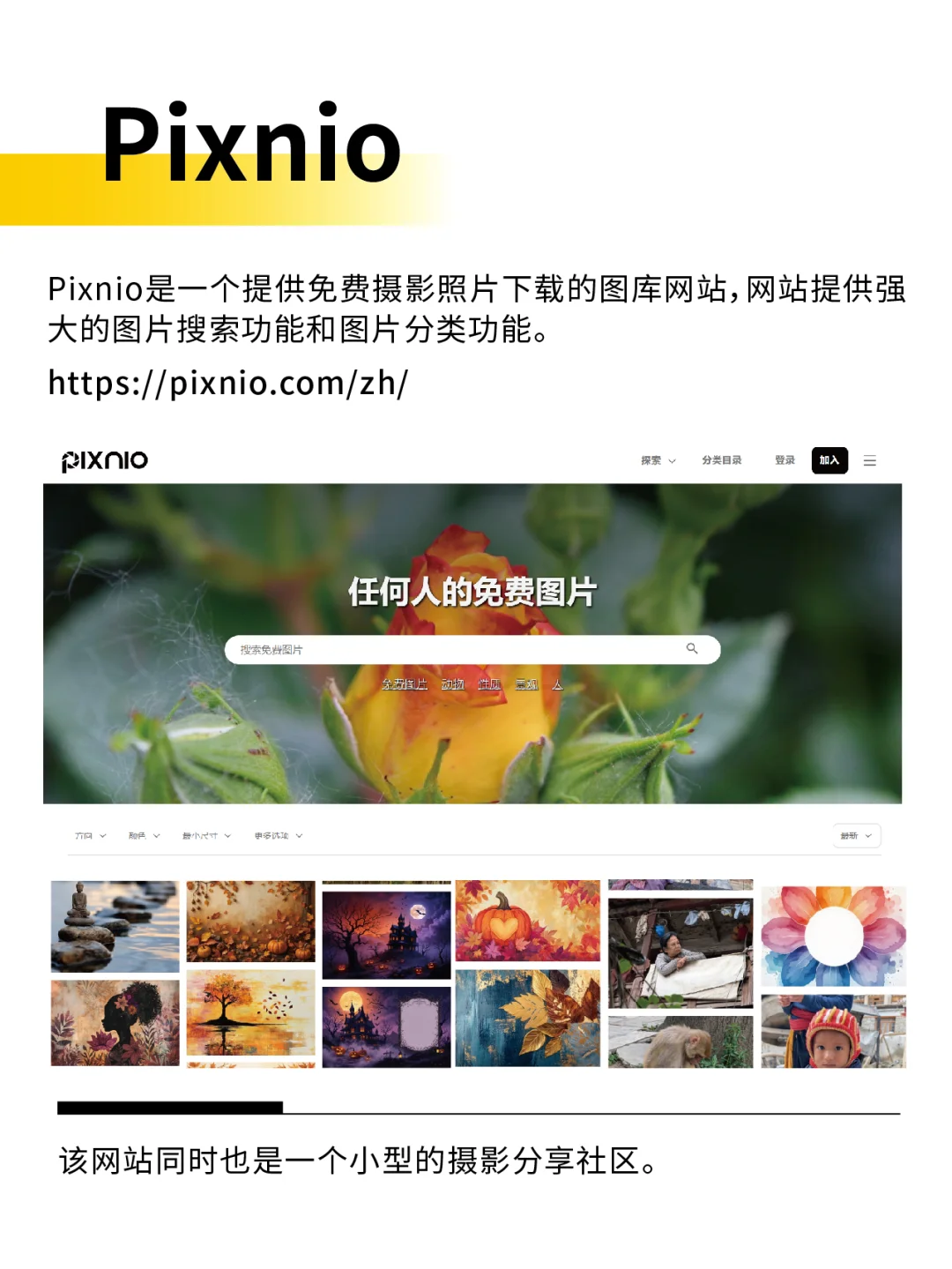 做 PPT 找图难哭？免费无版权网站，分享！