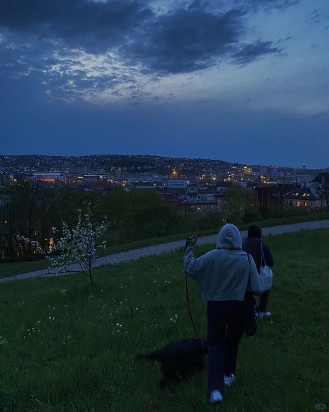 高质量图片素材丨去重未使用