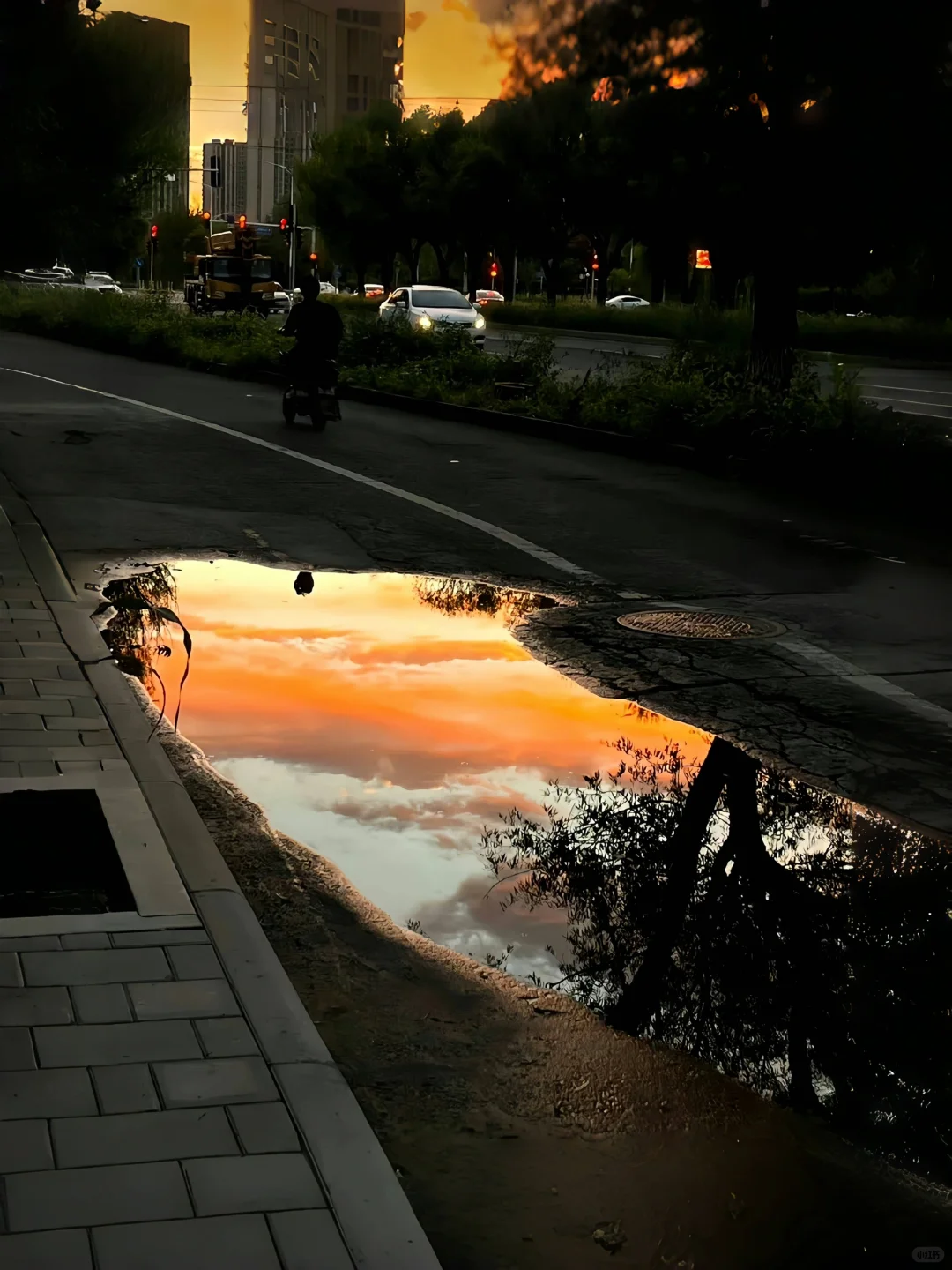 高质量图片素材10张/高清未使用