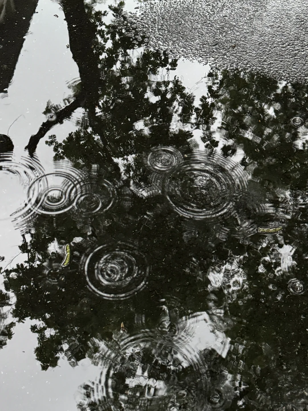 18张高清原声live实况素材 喜欢可拿