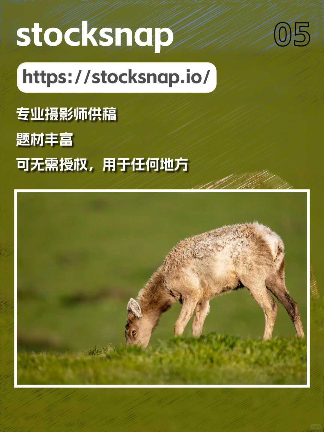 📸 9个无版权图库分享 🖼️