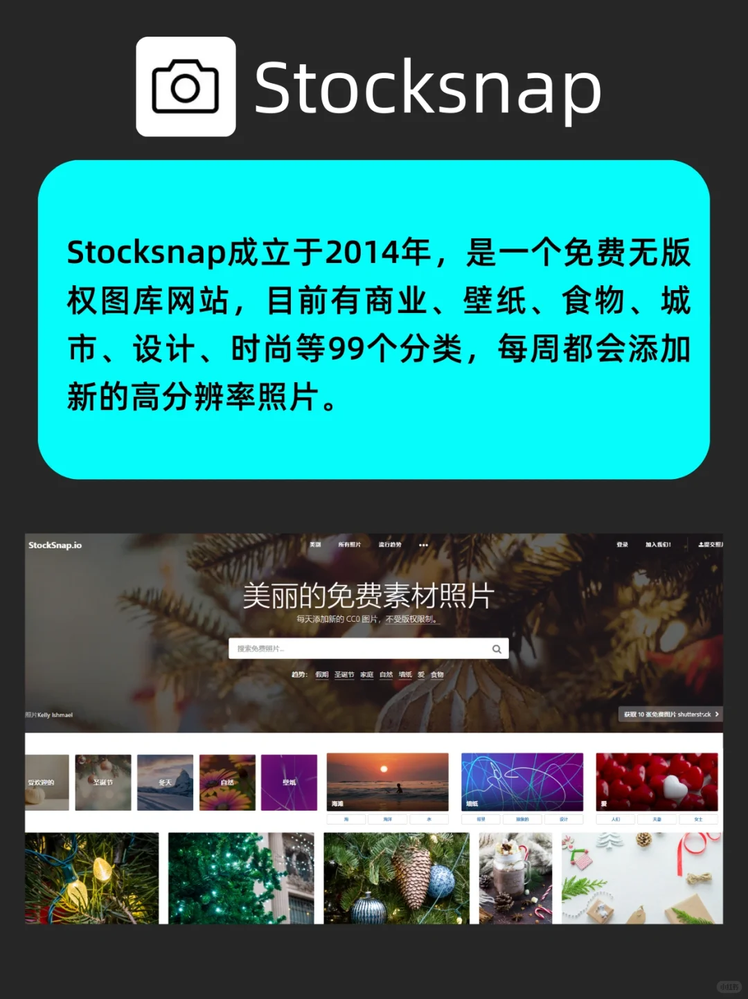 🤩8个免费无版权、可商用的图片网站❗️