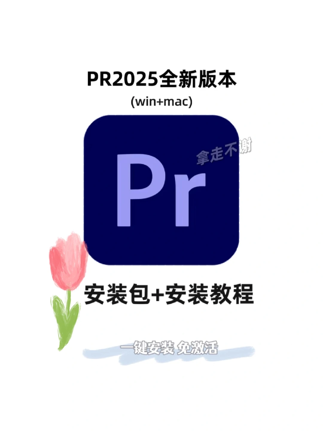 PR2025安装包 自取 附安装教程 free