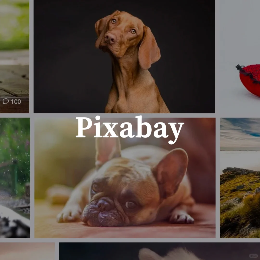 超百万张高清图片随心用^_^,无版权、免费