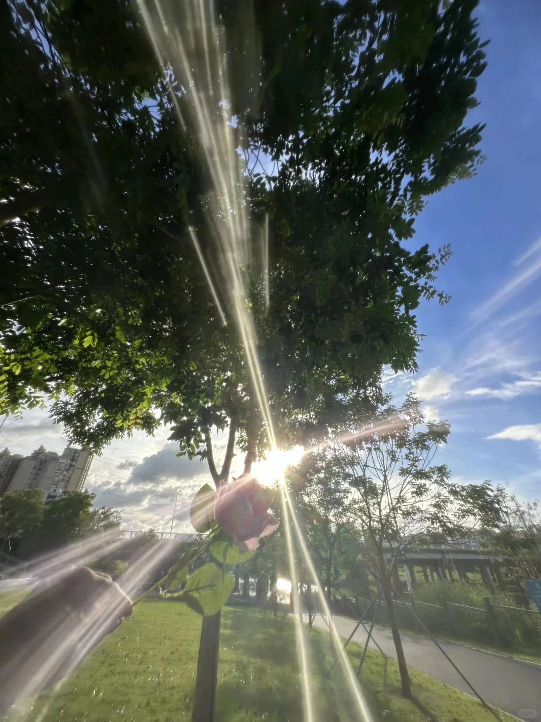 13张爆款Live图 ｜ 高清未使用