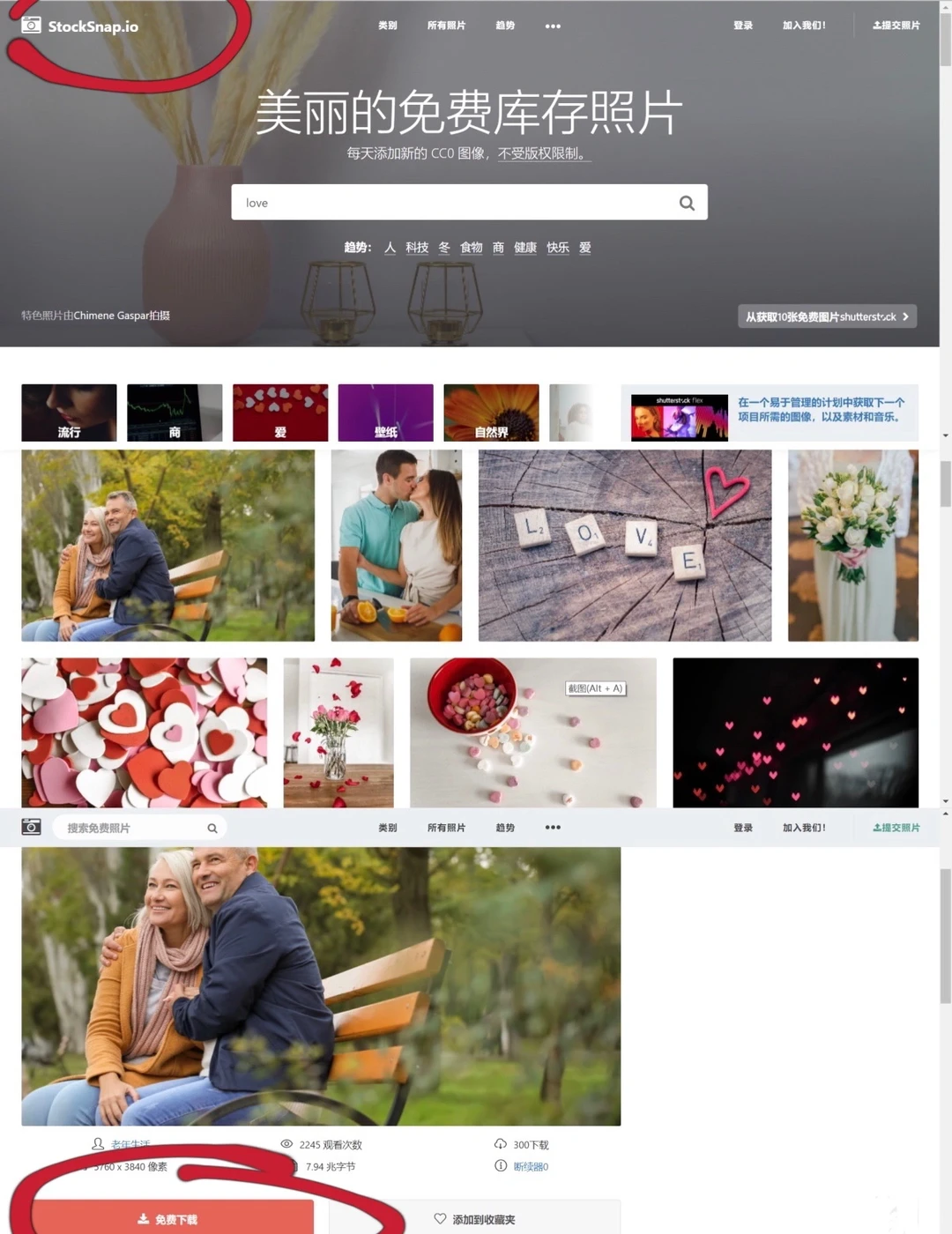 yyds找图片必备网站