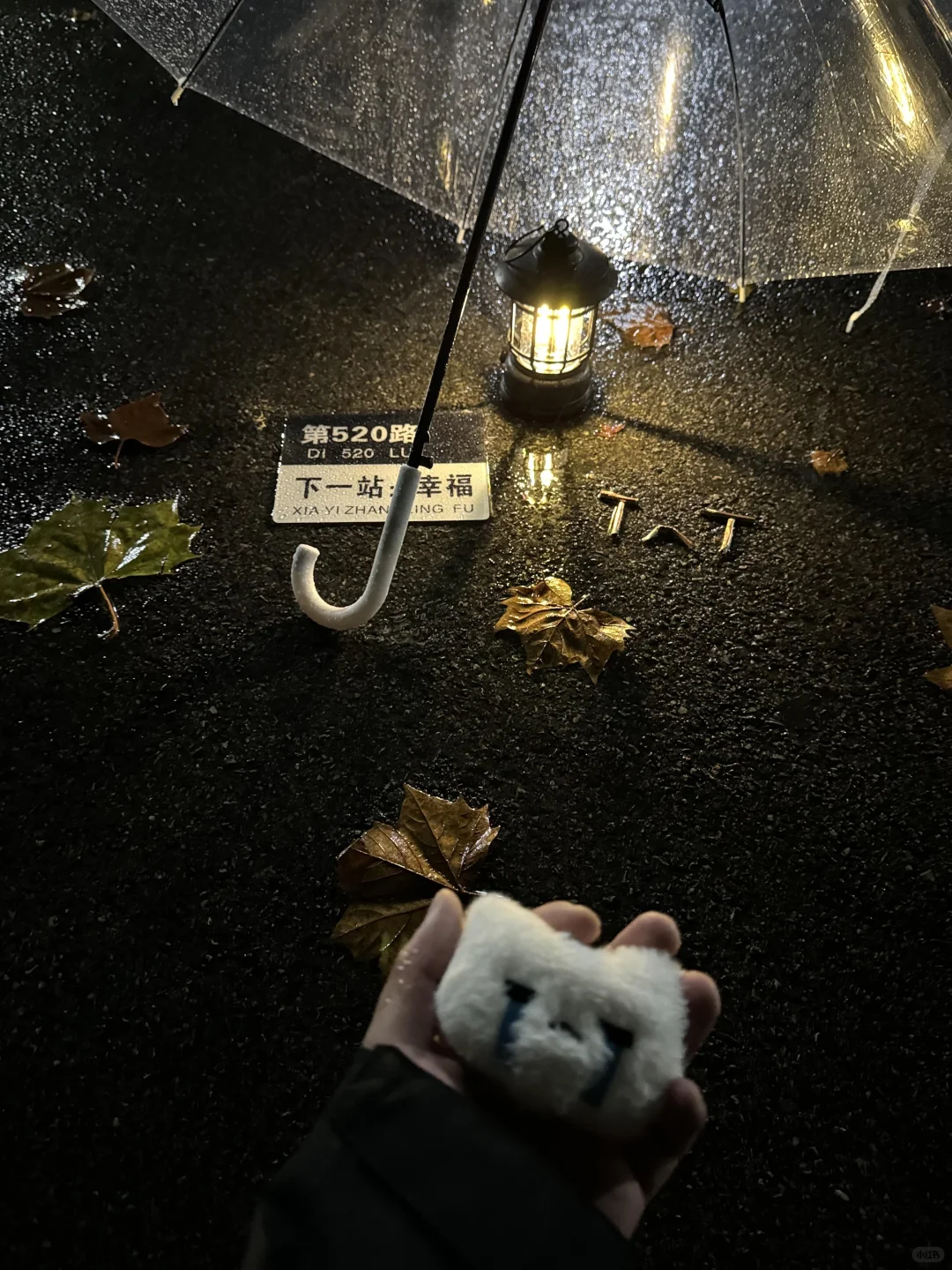 8张爆款live 图 | 高清未使用 喜欢拿