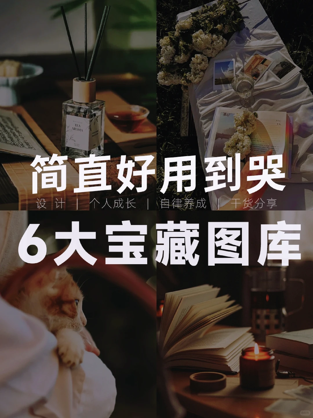 宝藏图库‖好用到哭😭