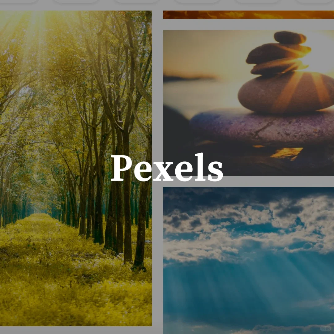 超百万张高清图片随心用^_^,无版权、免费