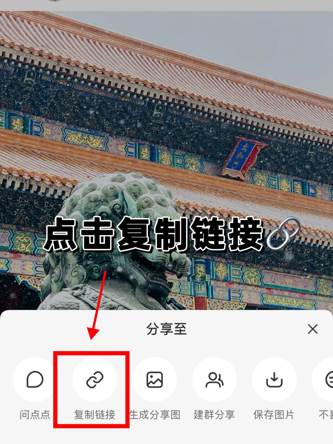 📕小红书怎么保存原图原视频无水印