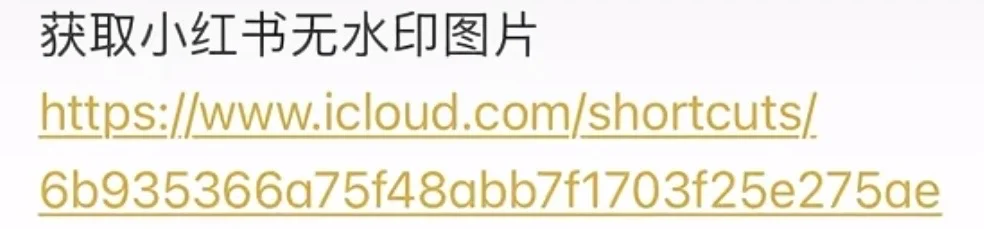 终于可以无水印保存小红书图片和视频啦🥳