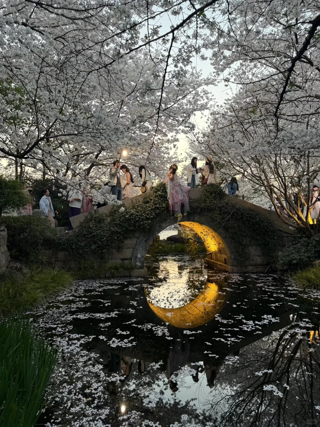 13张爆款Live图 ｜ 高清未使用